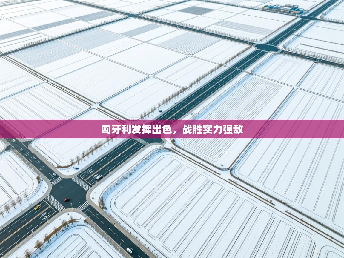 匈牙利发挥出色，战胜实力强敌  第2张