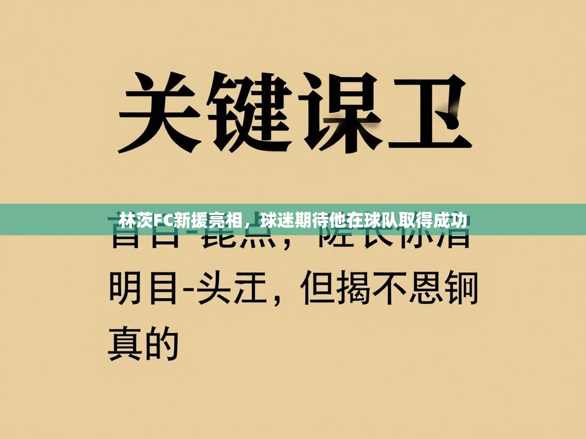 林茨FC新援亮相，球迷期待他在球队取得成功  第2张